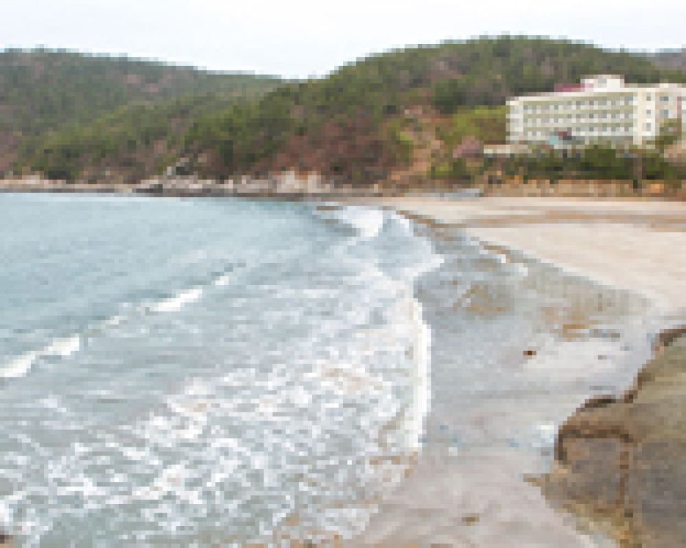 발포해변 도보5분이내 거리